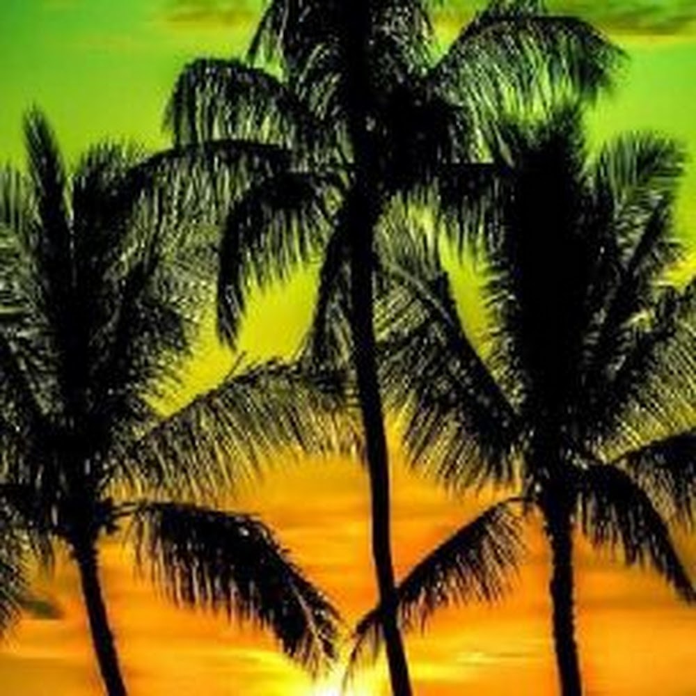 Meet your Posher, Dwayne